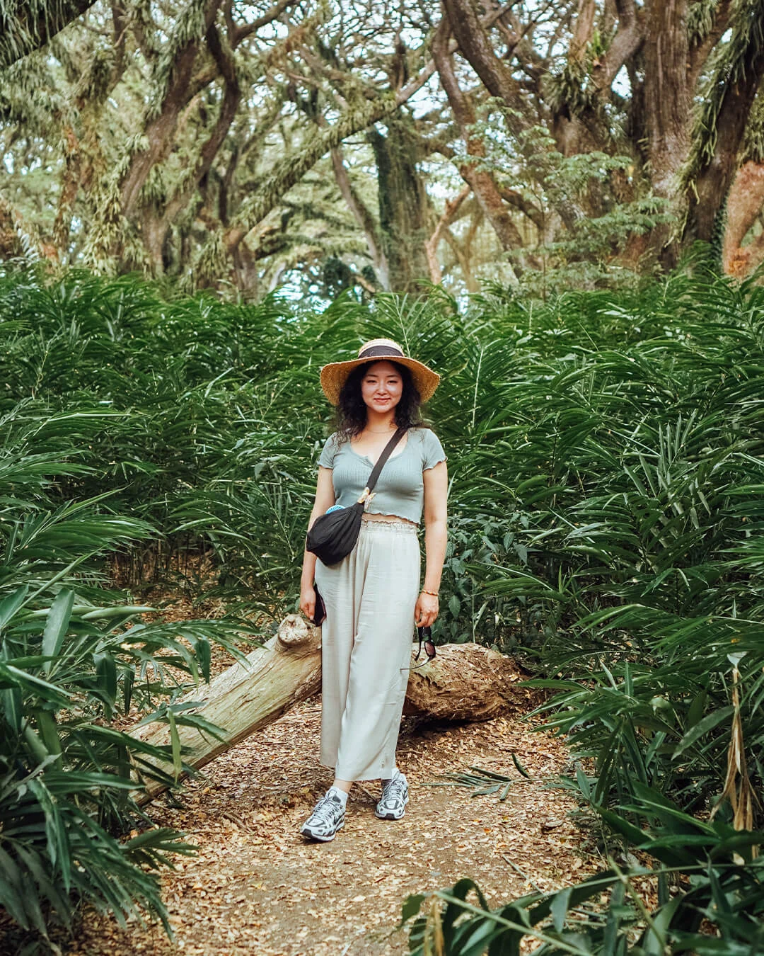 Beyond Horizon Trails