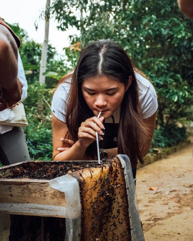 Taste raw honey straight from the comb.