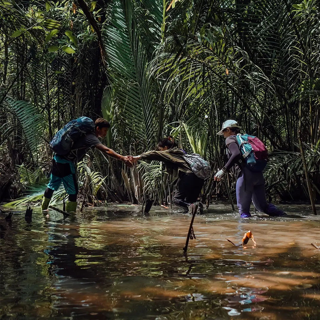 13,2 km trek on an exclusive jungle trail guided by our expert team.