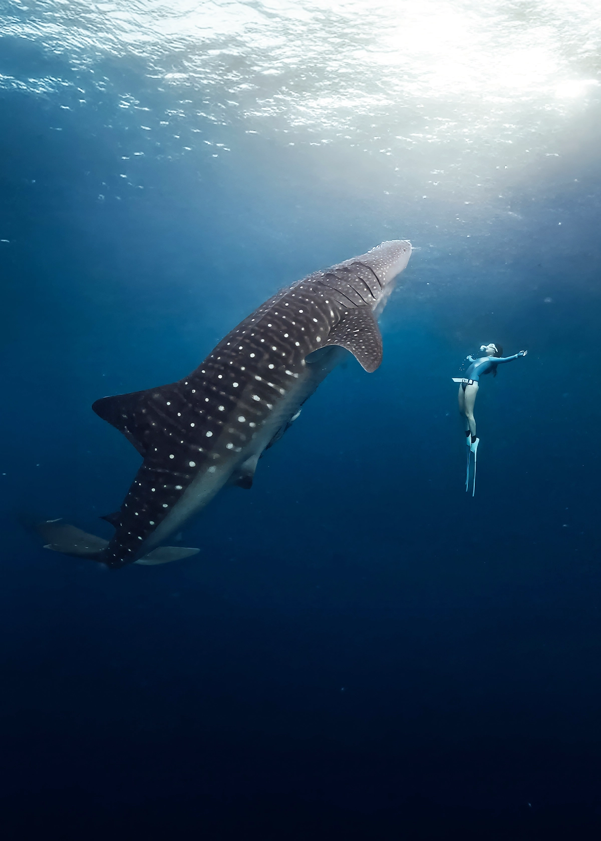 The Uncharted Trails