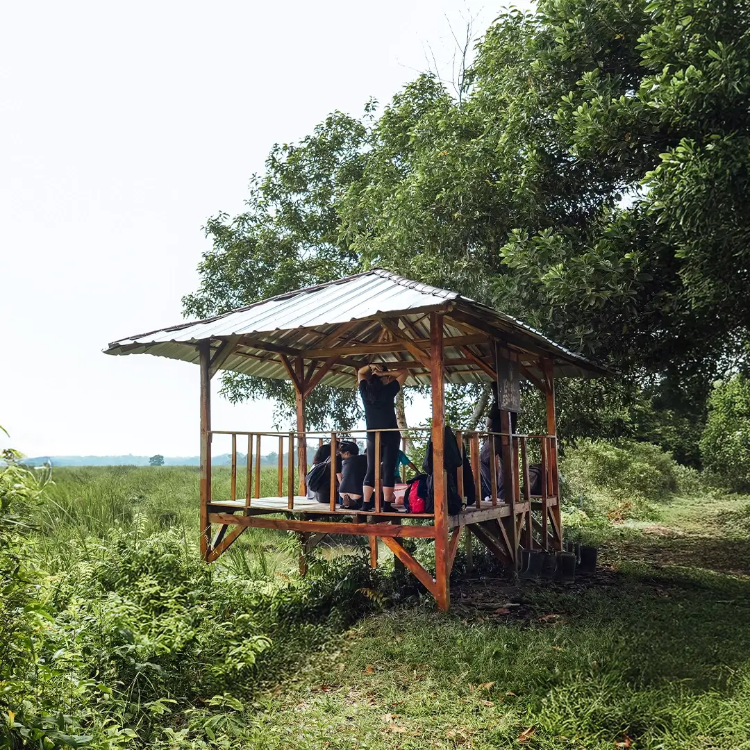Local Escape Shelter: real elephant learning, fully in nature.