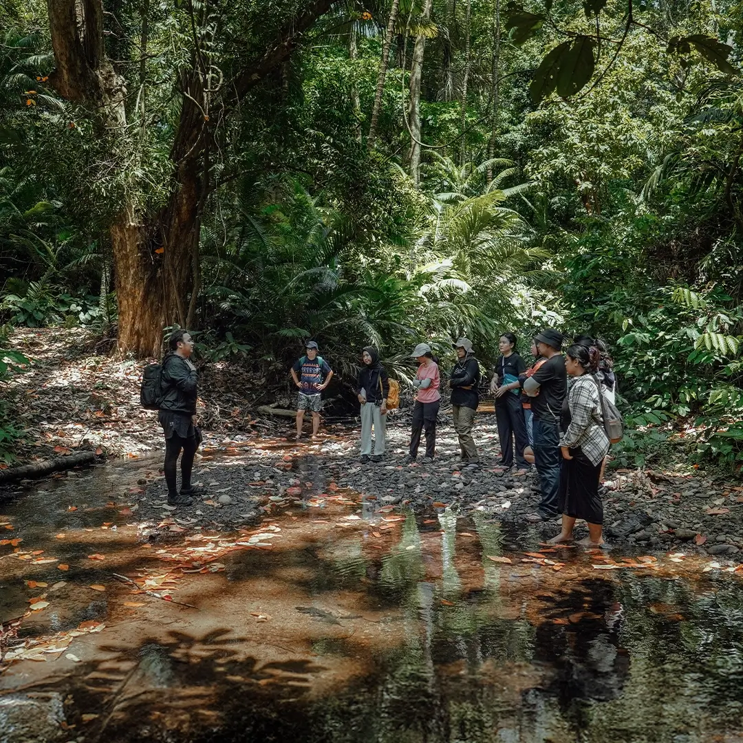 Learn about the facts and presence of the Javan rhino.