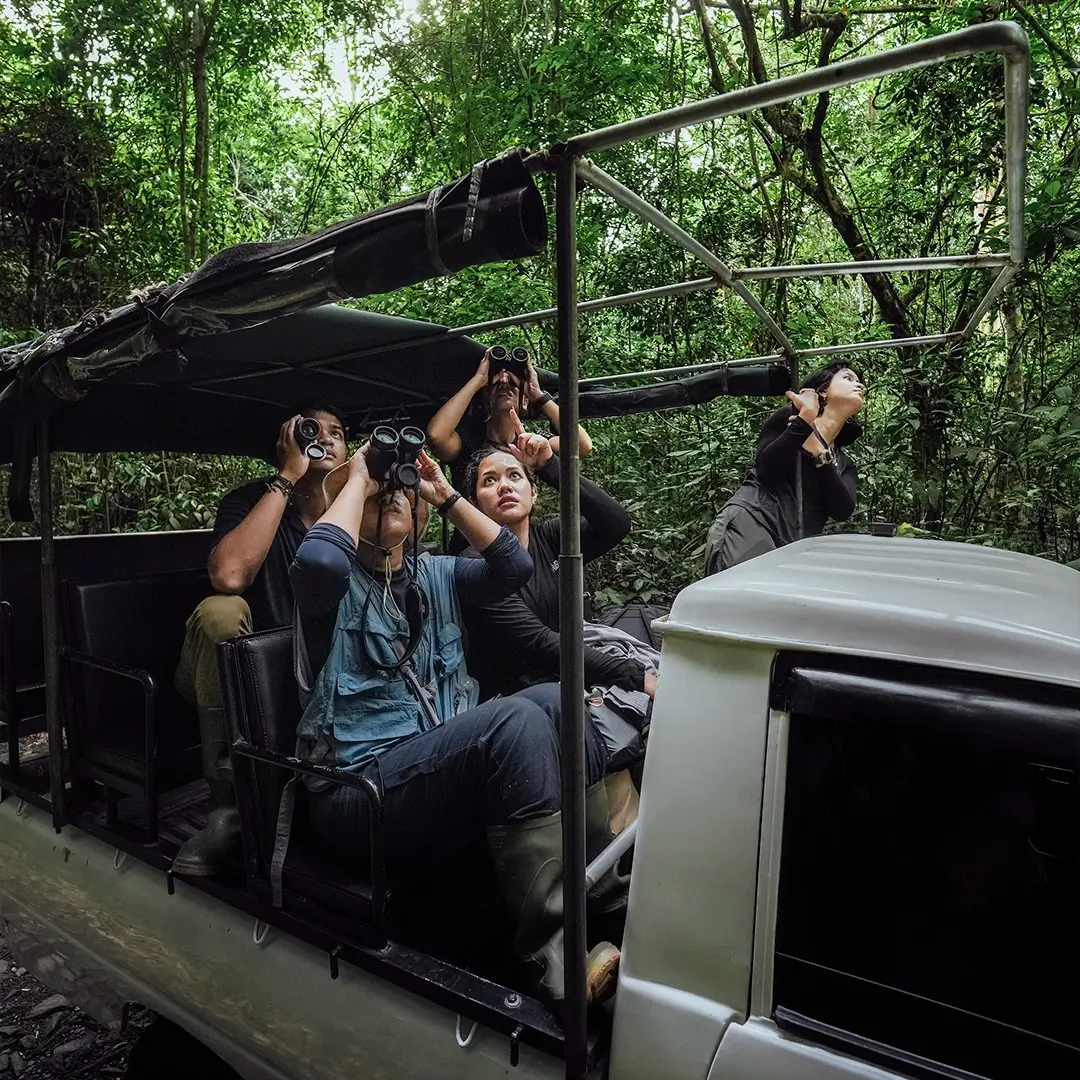 8 hours ride in open-air vehicle for wildlife safari spotting birds, primates, and mammals.