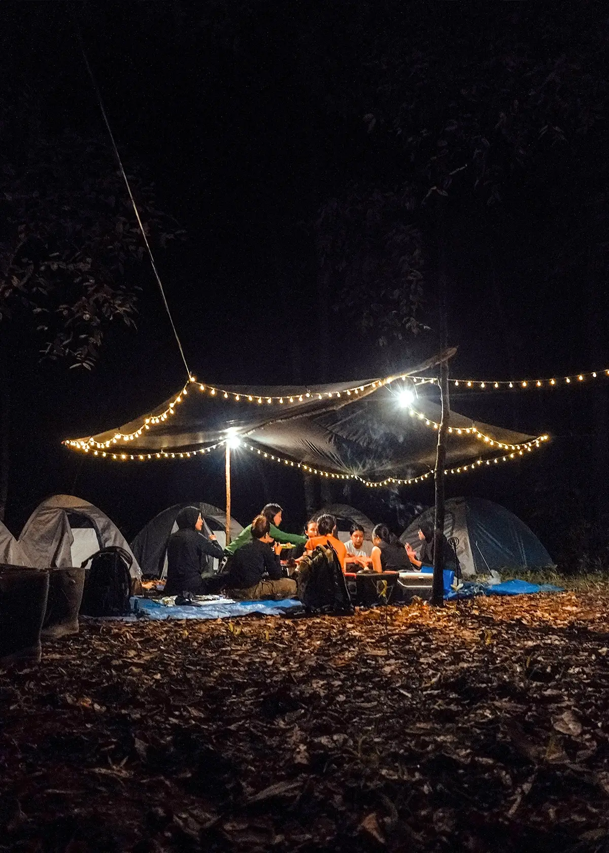 Camp at a ranger post and hear their stories.