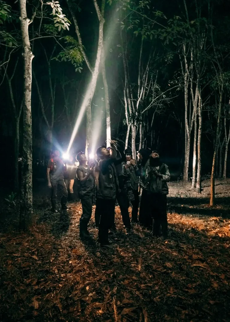Village night safari to observe Sumatran slow loris.
