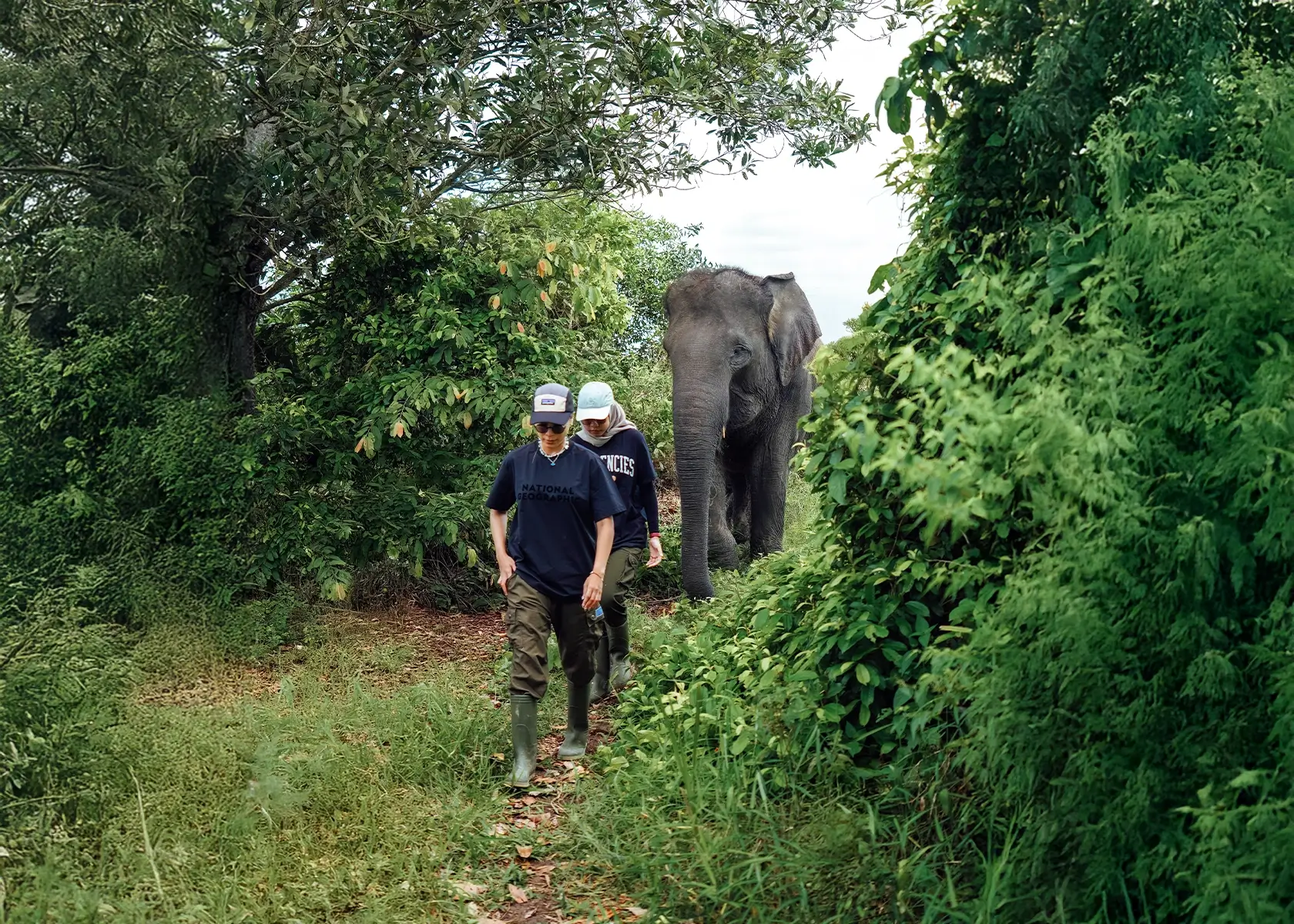 Enchanted Nature’s Sanctuary