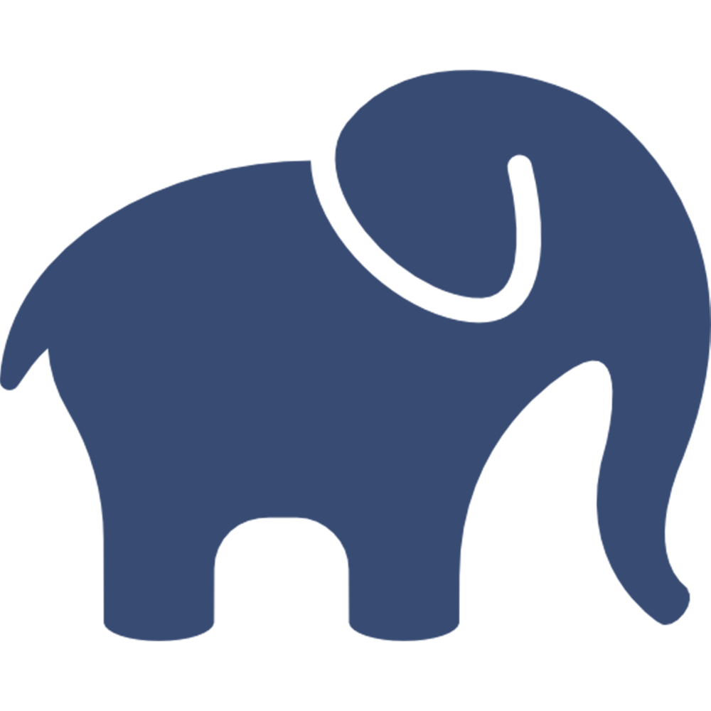 ELEPHANT, UP CLOSE