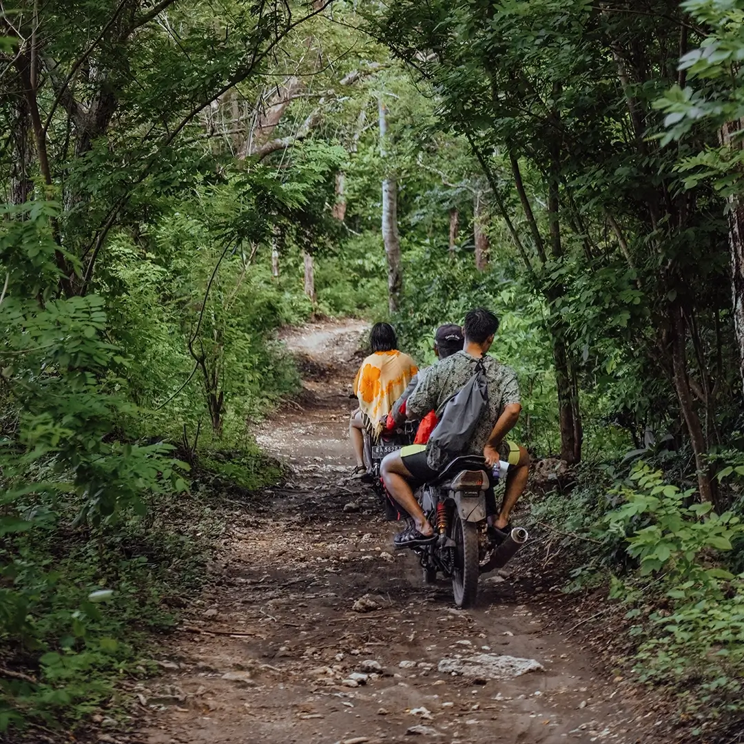 Explore the youngest national park's jungle to reach a waterfall.