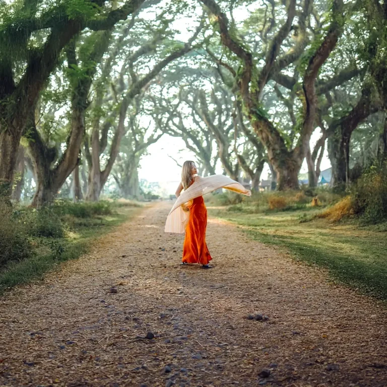 Walk beneath ancient magical forest.