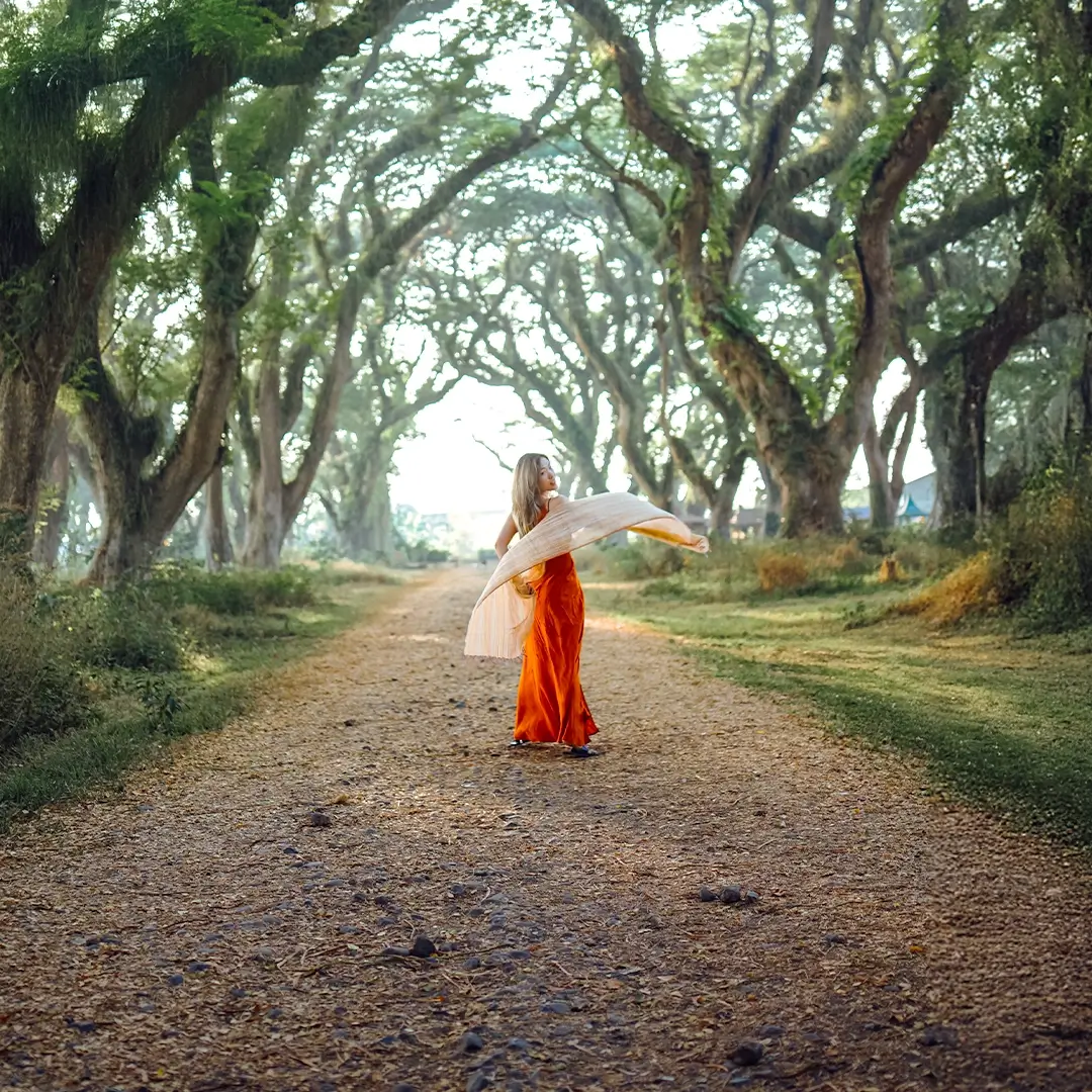 Walk beneath ancient magical forest.