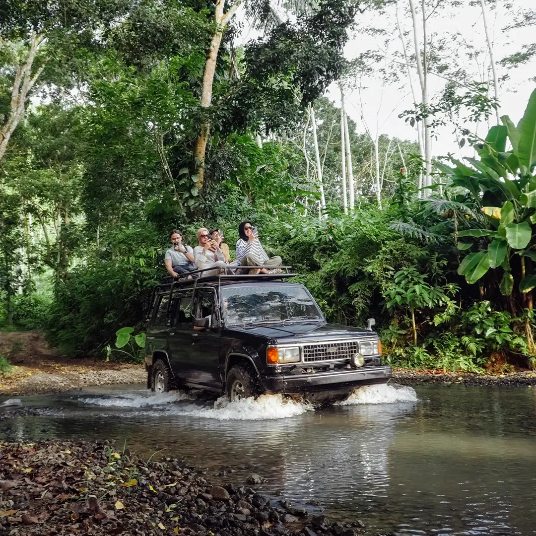 Off-road through jungle and river.